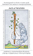 Ace of Wands Tarot card in Apprentice deck