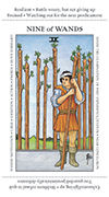 Nine of Wands Tarot card in Apprentice deck