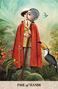 Page of Wands Tarot card in Tarot of Mystical Moments deck