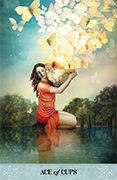 Ace of Cups Tarot card in Tarot of Mystical Moments deck