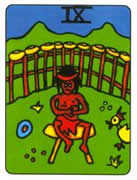 Nine of Cups Tarot card in African Tarot deck