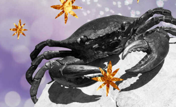 A crab sits on a rock, with gold stars nearby, against a purple sky.