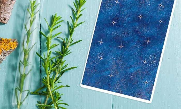 A card with a starry print lays on a blue table alongside some green herbs.