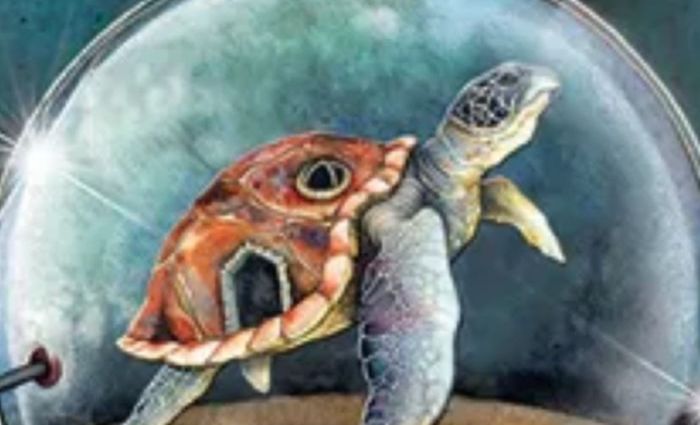An illustration of a sea turtle in a glass globe. (from Dreamkeepers Tarot)