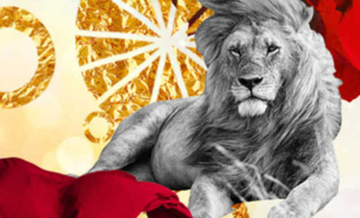 A black and white photo of a lion is shown with golden stars and red, flowing fabric.
